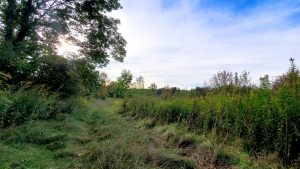 N. Tower Hill Rd Millbrook Land for sale